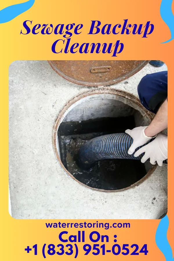 Sewage Backup Cleanup in Roseboro, NC