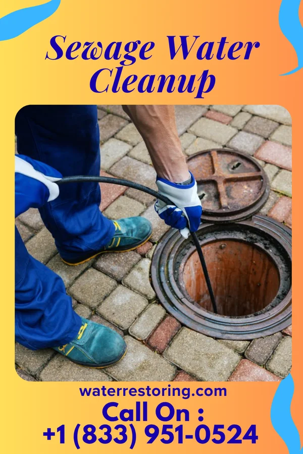Sewage Water Cleanup in Roseboro, NC